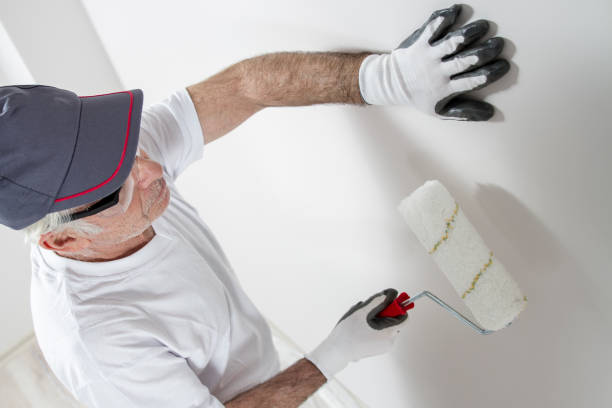 Trusted Dalworthington Gardens, TX Mold Removal Experts